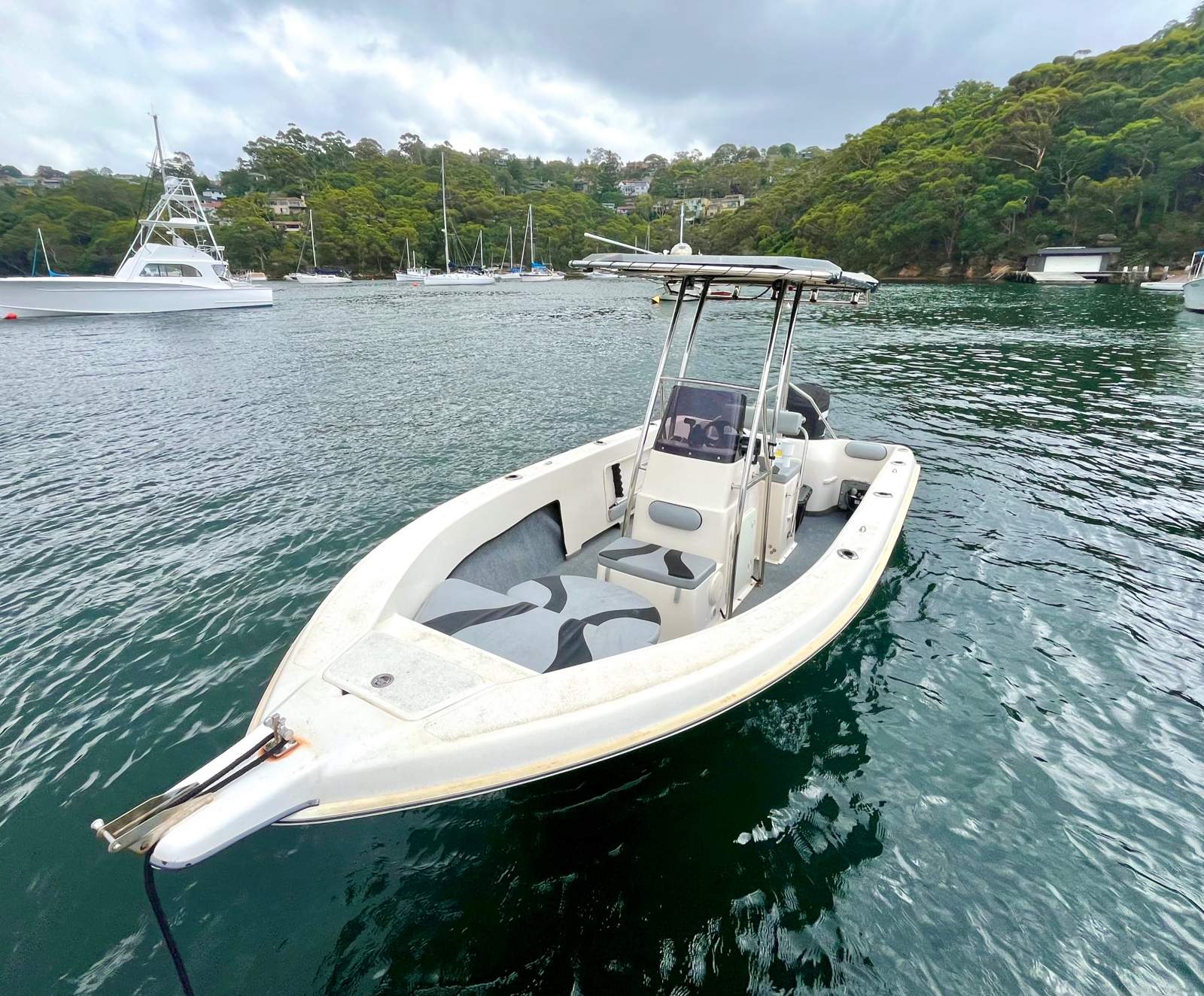 Lewis Boats 590 CC