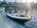Lewis Boats 590 CC