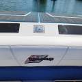 Scarab 38