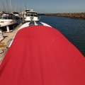Scarab 38