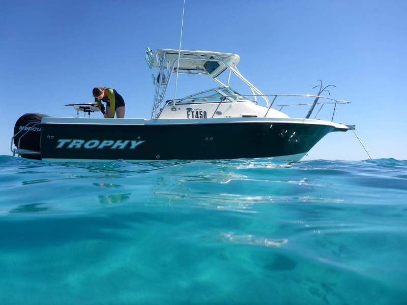 Trophy 2102 Walkaround Pro