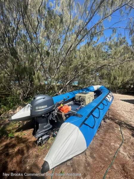 Zodiac 600 Tiller