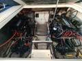 Bayliner 4200 Avanti