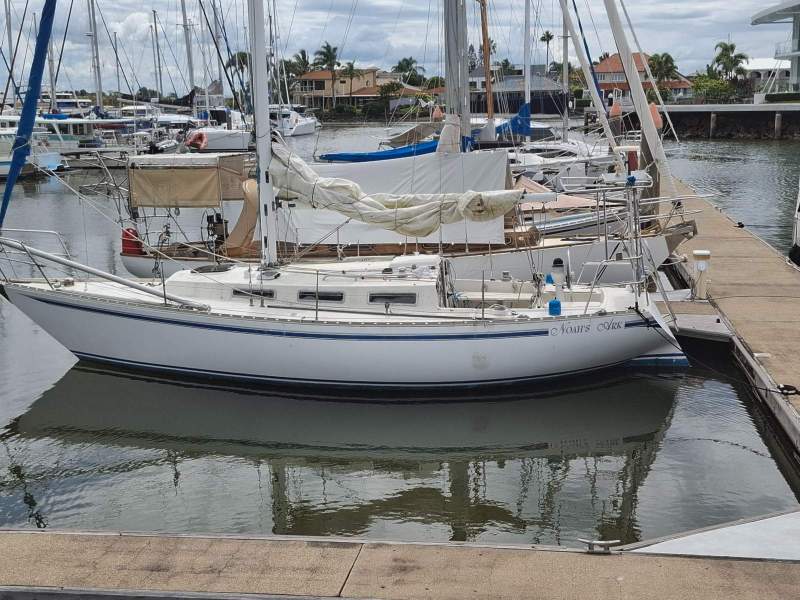 Adams 31