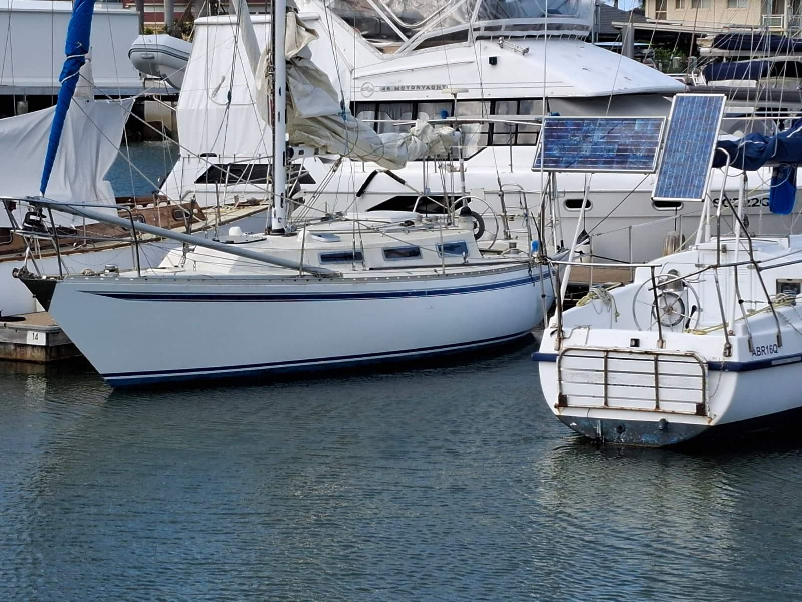 Adams 31