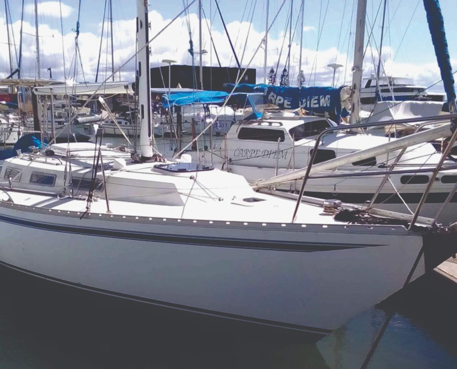 Adams 31