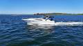 Sea Ray 310 Sundancer