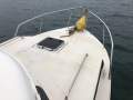 Cuddles 30 Sedan Antifouled Febuary 2025 Survey (Sydney Harbour)
