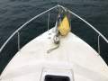 Cuddles 30 Sedan Antifouled Febuary 2025 Survey (Sydney Harbour)