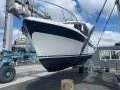 Cuddles 30 Sedan Antifouled Febuary 2025 Survey (Sydney Harbour)