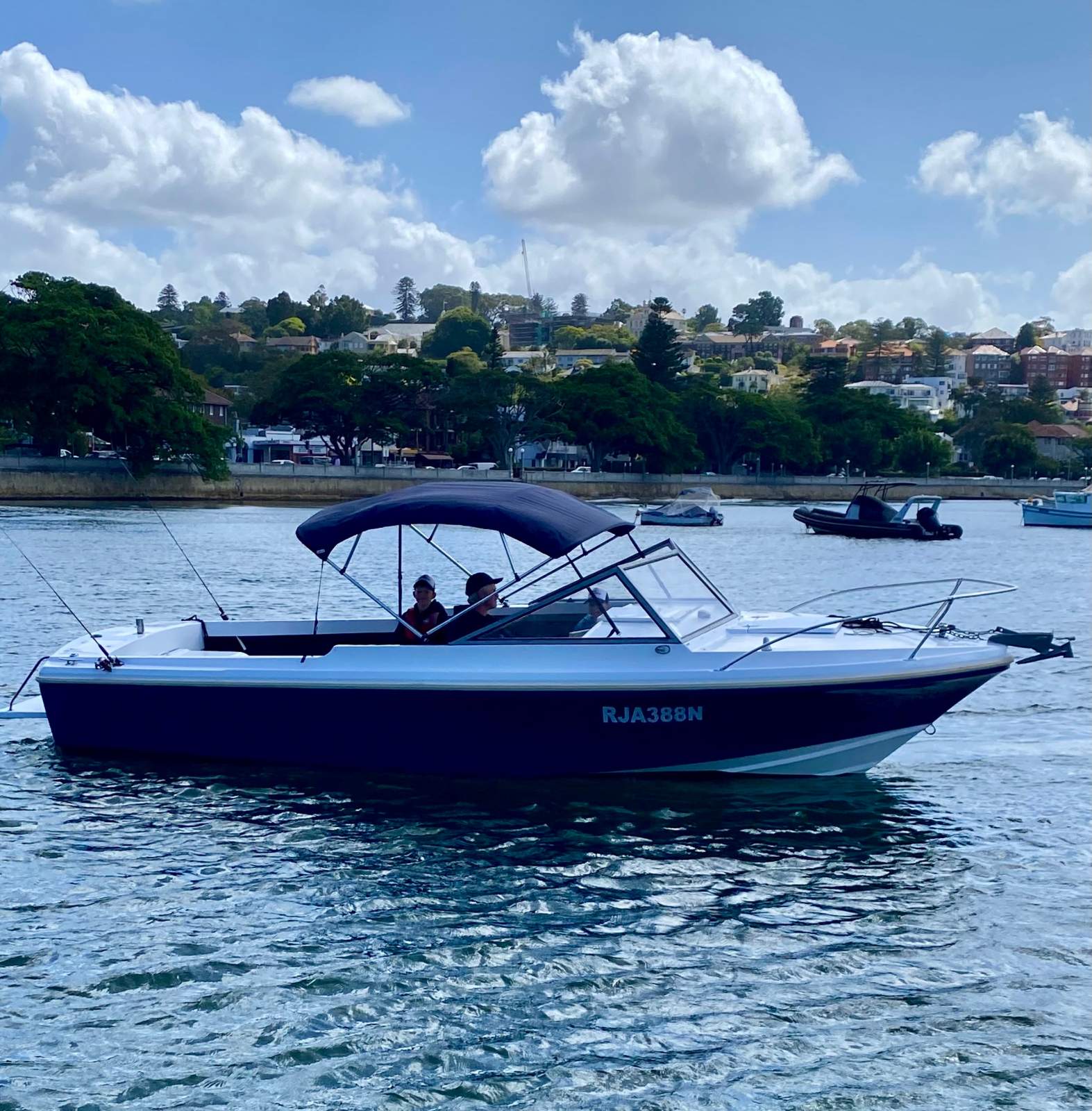 Bertram Caribbean 23