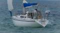 Cole 32 ~ Well setup and ready to cruise