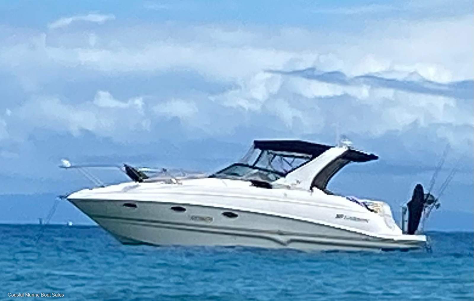 Larson Cabrio 310