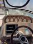 Larson Cabrio 310