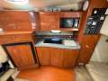 Larson Cabrio 310