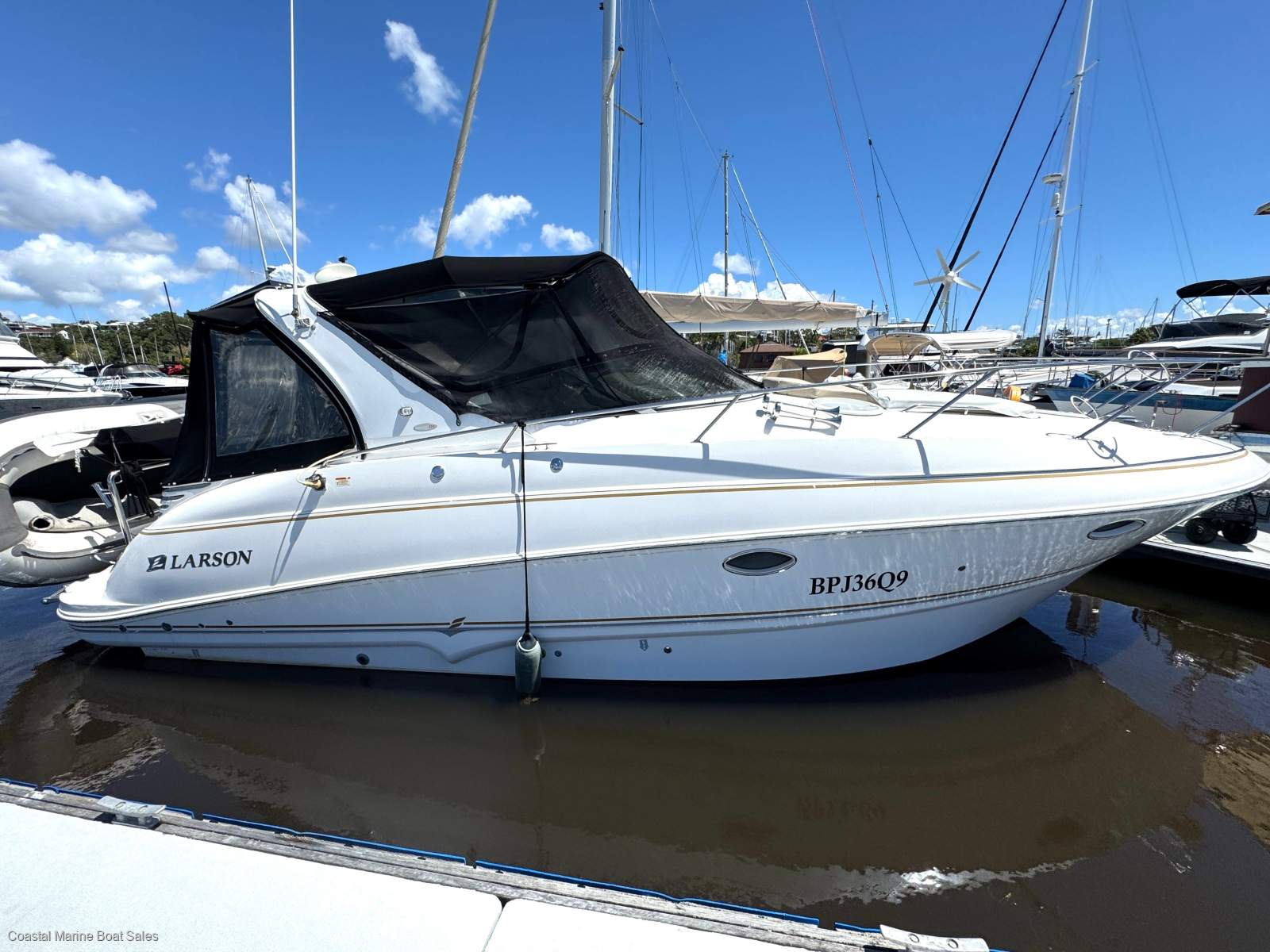 Larson Cabrio 310