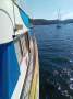 Tradewinds 40 Flybridge Cruiser