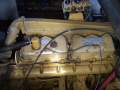 Geros Surface Longliner 18M Custom