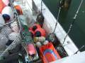 Geros Surface Longliner 18M Custom