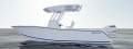 New Sea Fox 248 Commander