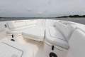 New Sea Fox 248 Commander