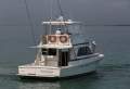 Riviera 43 Open Flybridge - Three cabin model with extended rear deck