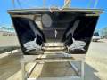 Shark Cat 5.6M