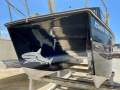 Shark Cat 5.6M