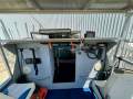 Shark Cat 5.6M