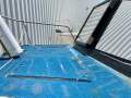 Shark Cat 5.6M