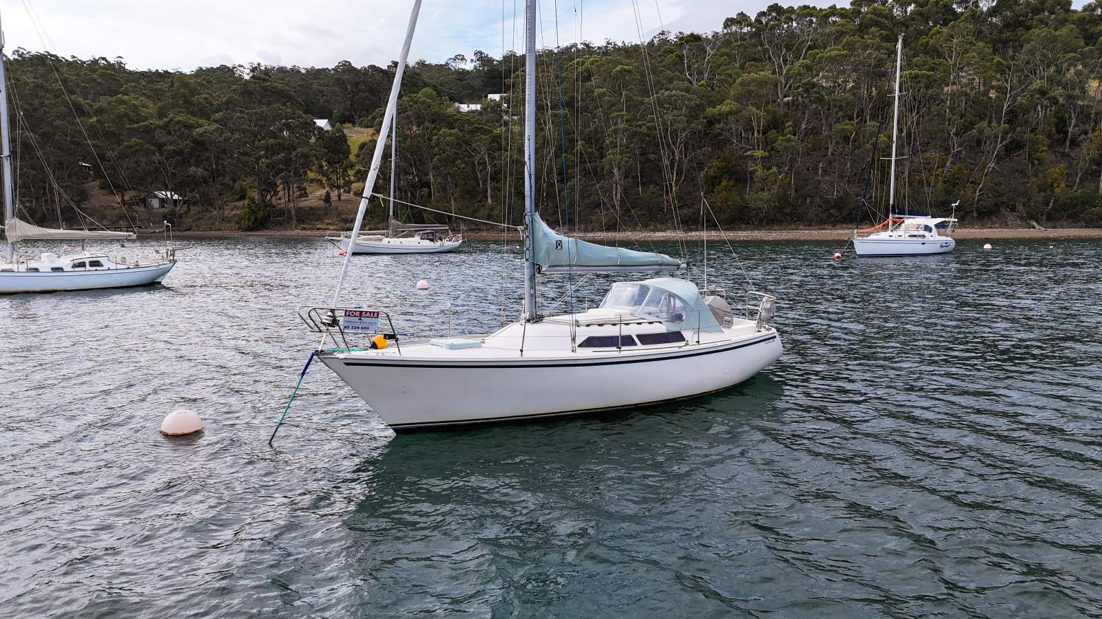 Traditional 30 EXCELLENT CONDITION, QUALITY CRUISER/RACER