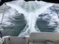 Bayliner 265 Ciera One Owner From New!!! Dry Stored (Sydney Harbour)