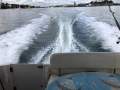 Bayliner 265 Ciera One Owner From New!!! Dry Stored (Sydney Harbour)