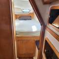 Rayvin 30