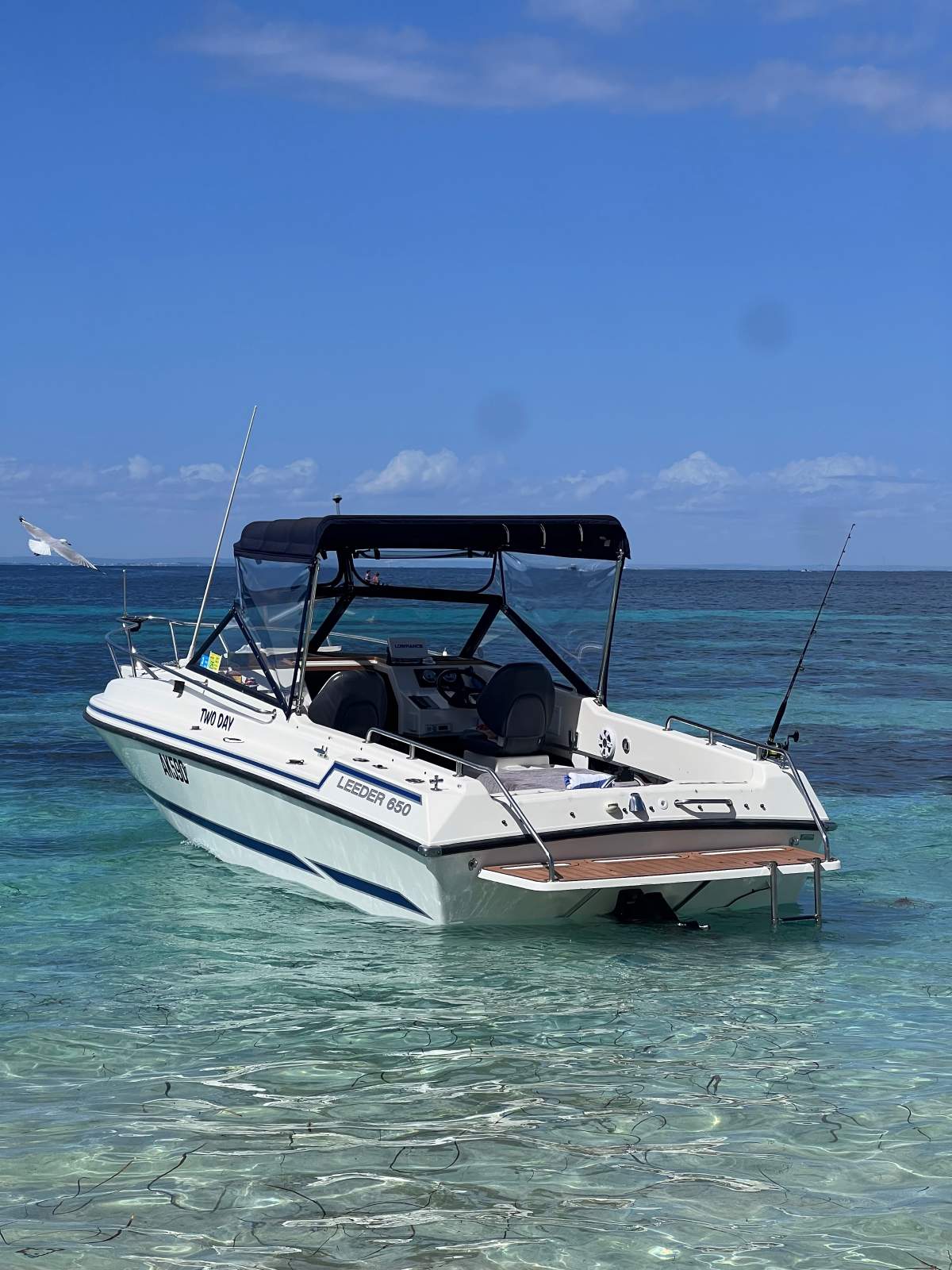 Leeder 650