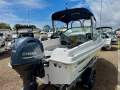 Haines Hunter 535 Sportfish
