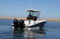 Wellcraft 262 Centre Console with Only 315 Hours