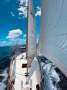 Tradewinds 33 - Bluewater and Coastal Cruiser