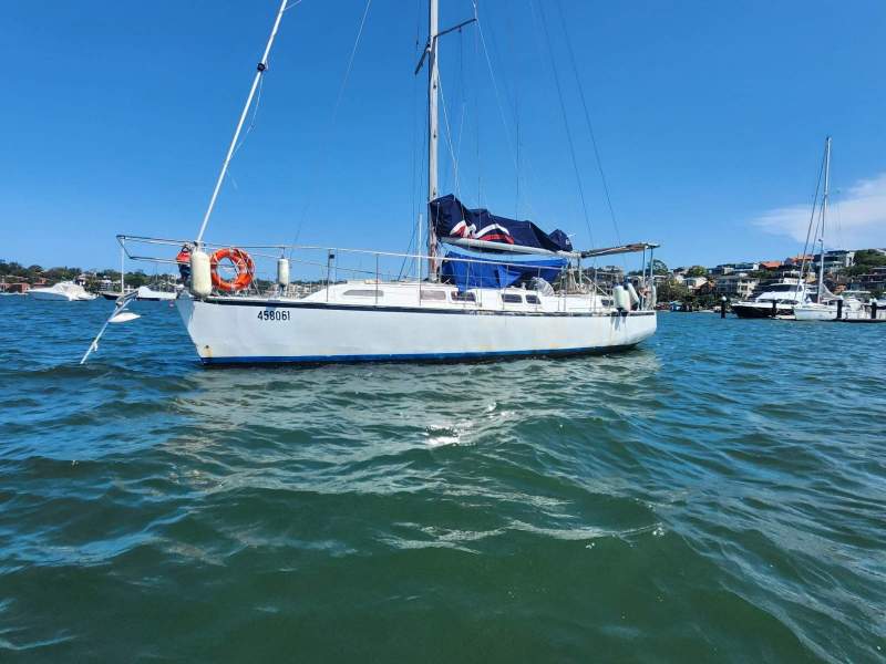 Radford 40