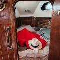Radford 40
