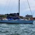 Radford 40