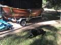 Oughtred Whilly Boat and trailer