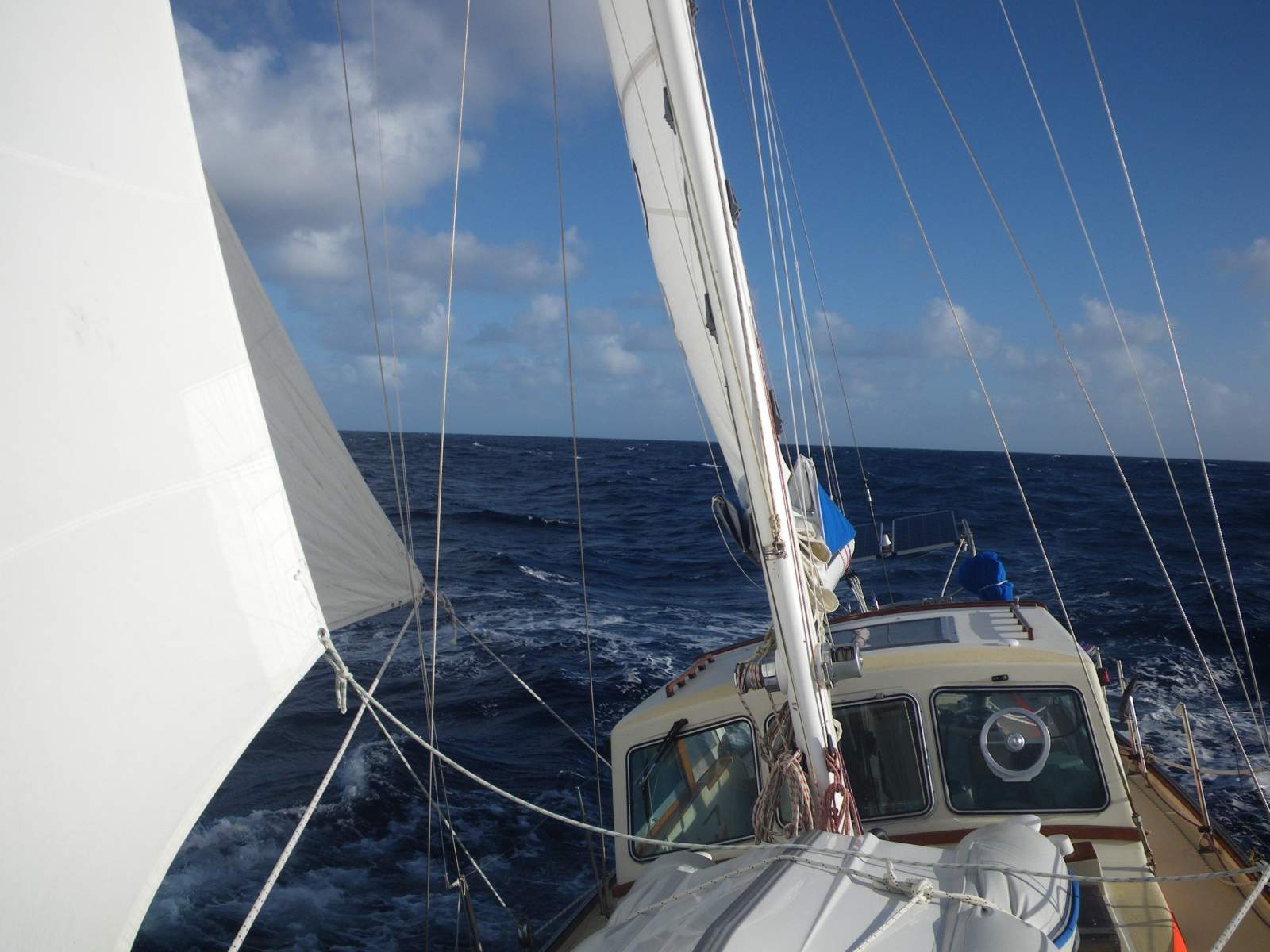 Salar 40 Pilothouse Tardis V
