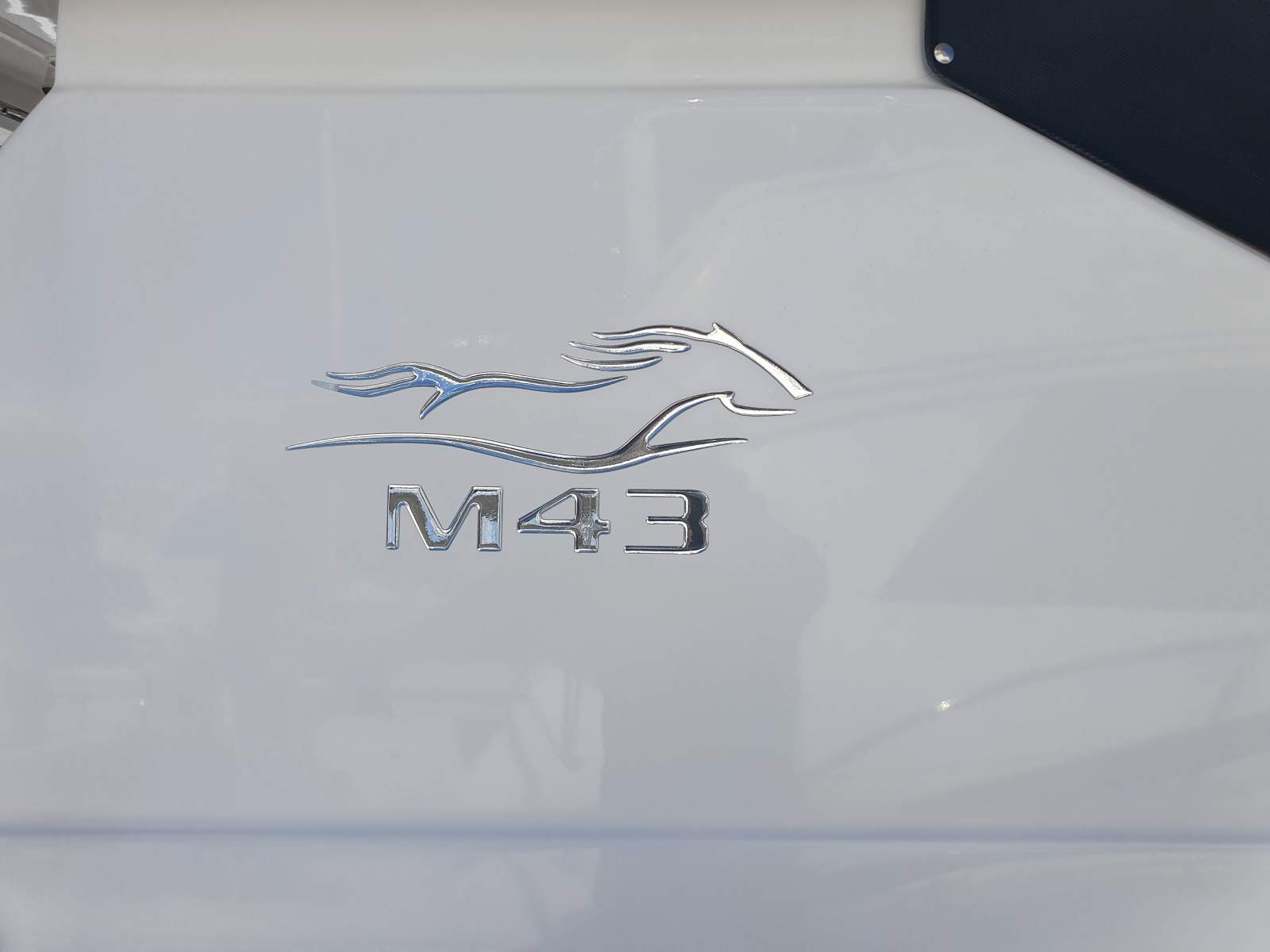 Mustang 43 Sportsfisher