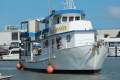 Steel 16.9m Dive Charter Vessel - 1B Survey