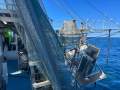 TS629 15.66m Trawler C-King
