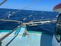 TS629 15.66m Trawler C-King