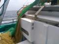 TS629 15.66m Trawler C-King