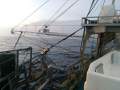 TS629 15.66m Trawler C-King