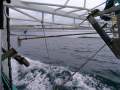 TS629 15.66m Trawler C-King